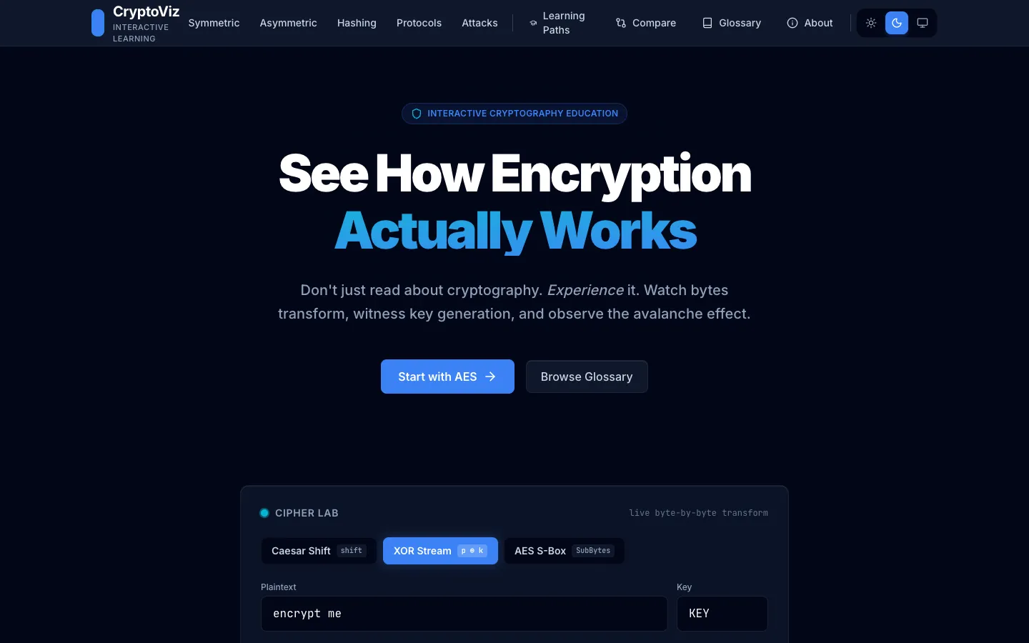 Encryption Visualizer interface
